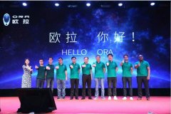 ���Ƿ������綯����Ʒ��ŷ������ŷ�����˽���٣�