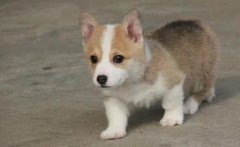 ǧһֻ»ھӼЦɵھӱ