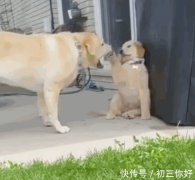 ϸТӣһֻëӺݺݽһëͷ