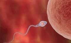 ����������Ҫ������������������ʷ���Ҫ��ǰ���������׼��