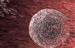 �������м���������ʲô֢״�ͷ�Ӧ