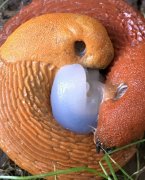 ������С�һ��ں�Ժ������һ������أ�������������