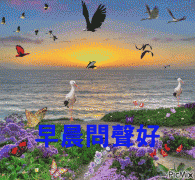 2018�������Ϻö�̬ͼƬ��ȫƯ�����Ϻ�ף����̬ͼ