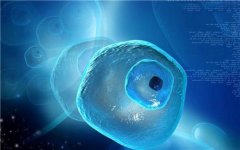 �¾������������������ڲ�׼��ô��