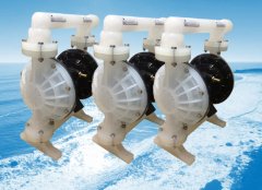 ��ץϸ�ڳ�Ʒ�ʣ��Ϻ��궫��Ĥ�ó����г�������