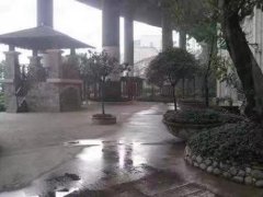 重庆东和湾涉外公寓游泳池和花园被强拆致小区损失严重